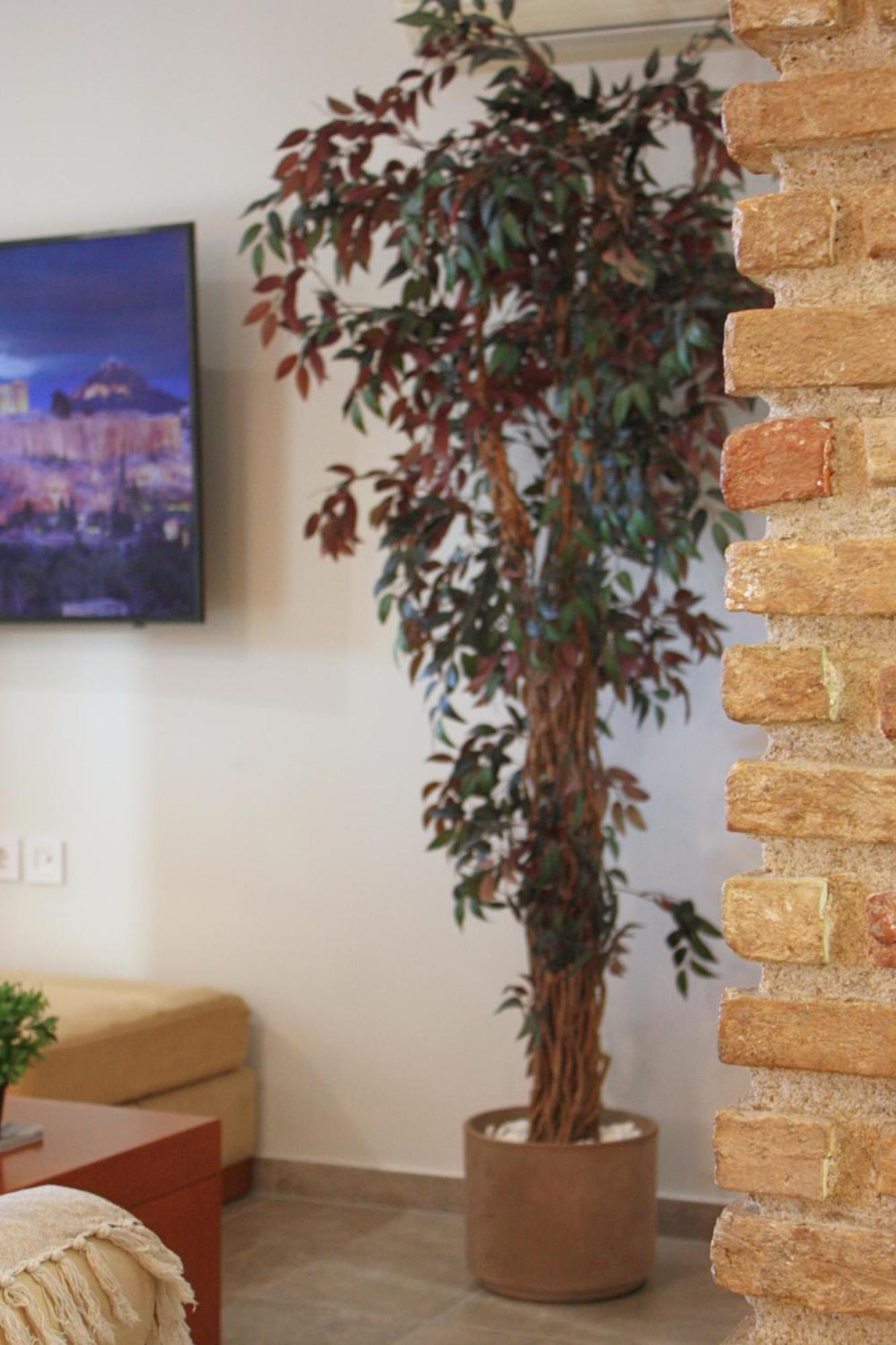 Camara Suite  Cos Exterior foto